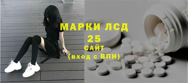 PSILOCYBIN Абдулино