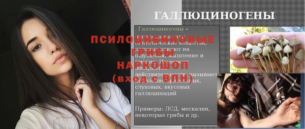 PSILOCYBIN Абдулино